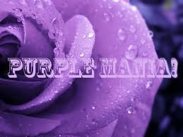 PurpleMania
