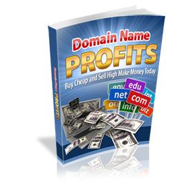 domain name profits book