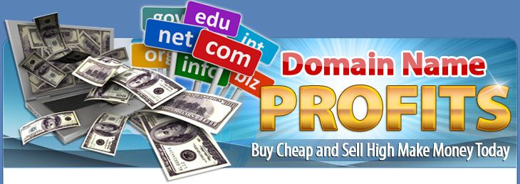 domain name profits header