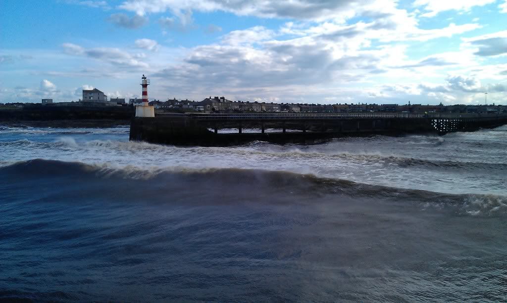 IMAG0133.jpg