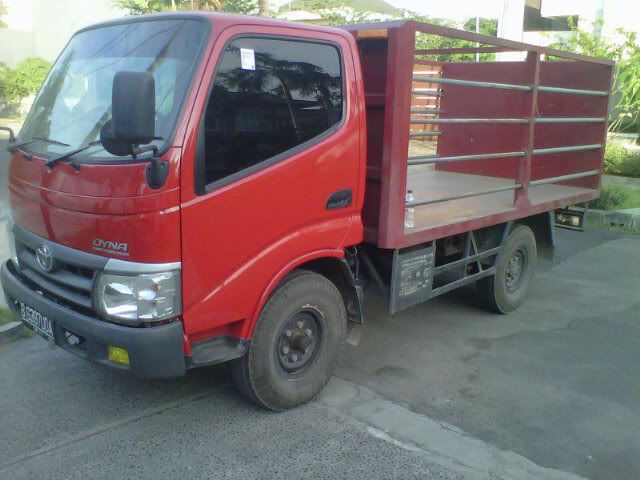 toyota dyna rino #6