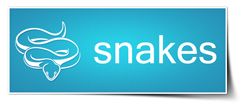 snake decal stickers