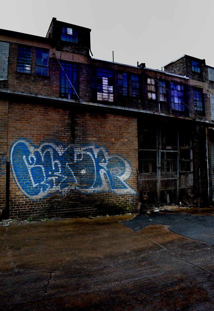 gatorblues_zpsbe60878f.jpg