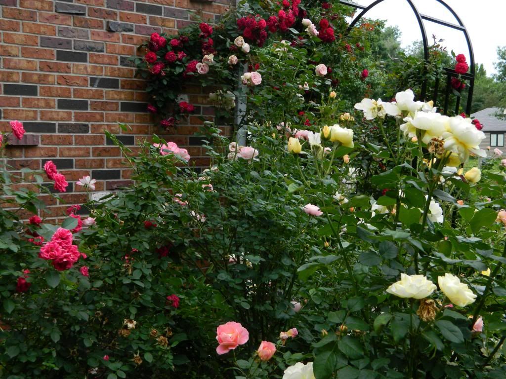 East Side Arch w/Quadra June 2012 photo EastSideArchGd.jpg