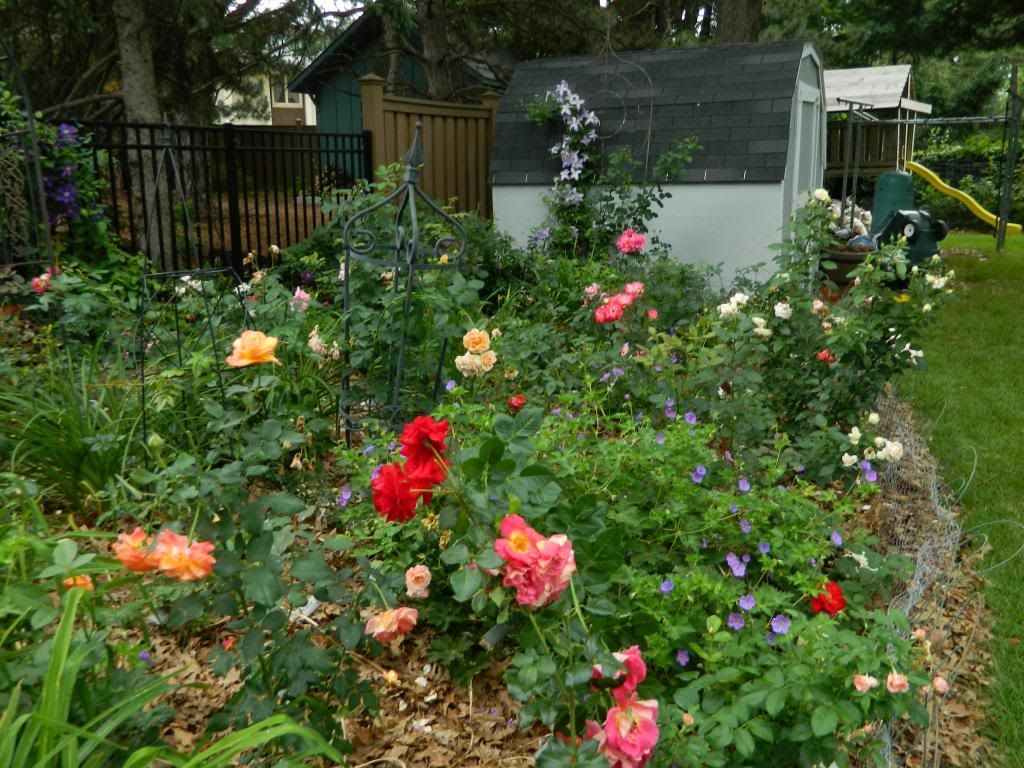 photo FarBackR2June20142.jpg