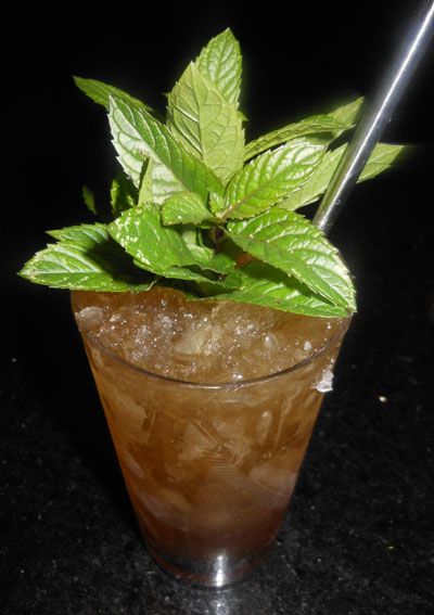 nick van tiel gin swizzle world's best cocktails