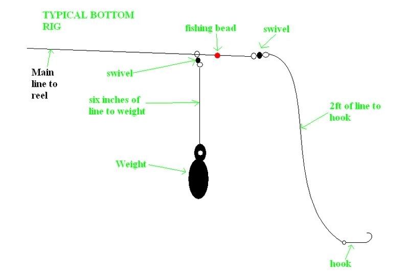 Favorite Grouper/BottomFishing Rigs For GOM The Hull Truth Boating