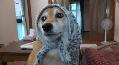 tumblr_mt04xpAigT1r03eaxo1_400_zpspqcvmw