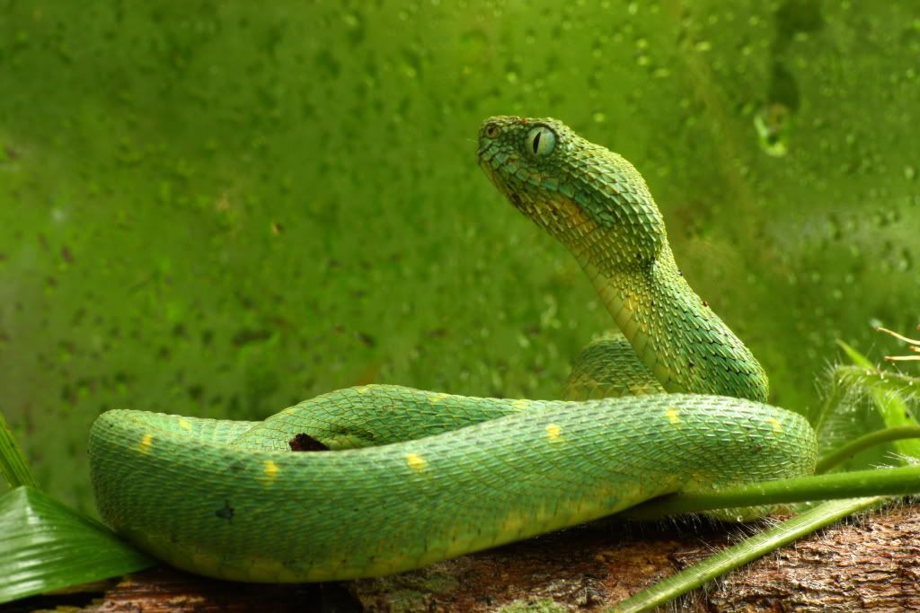 IMAGE: http://i1074.photobucket.com/albums/w413/ri3k/IMG_4807.jpg