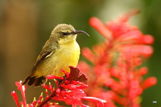 IMAGE: http://i1074.photobucket.com/albums/w413/ri3k/IMG_7956.jpg