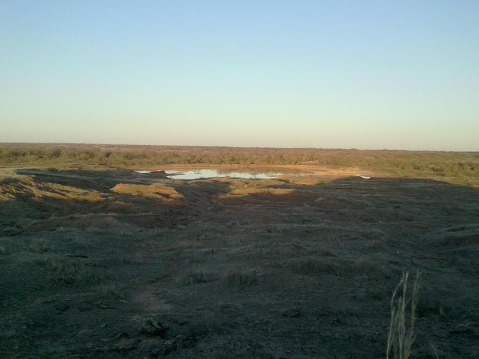 land1.jpg