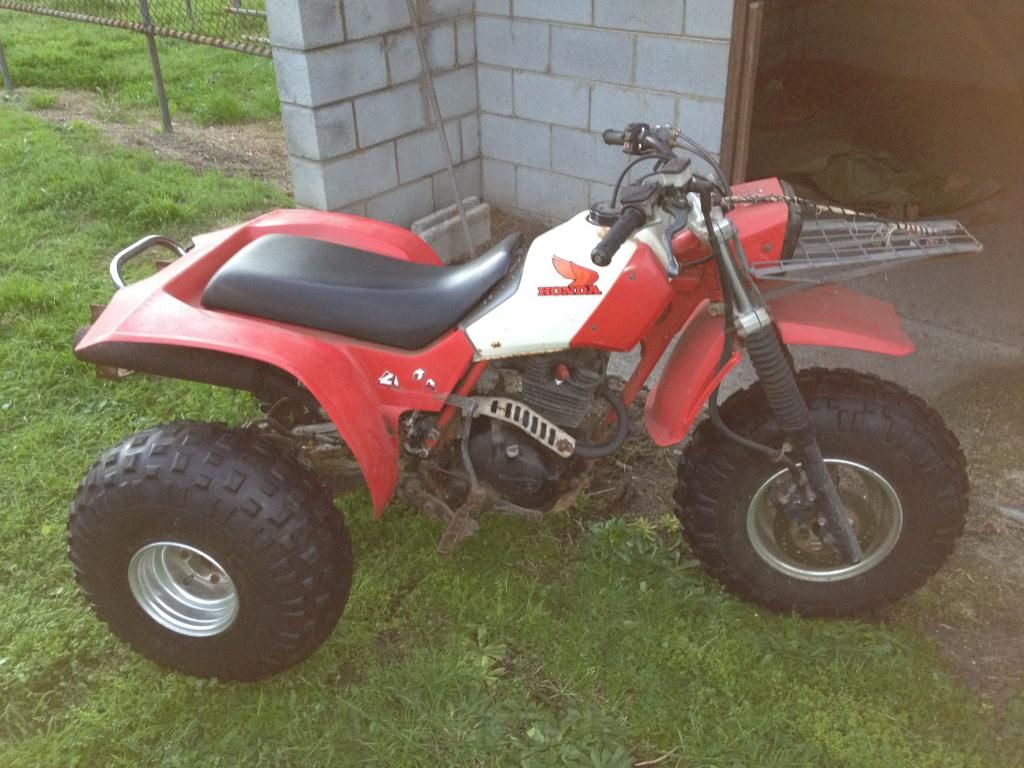 1984 Honda 200x for sale #5