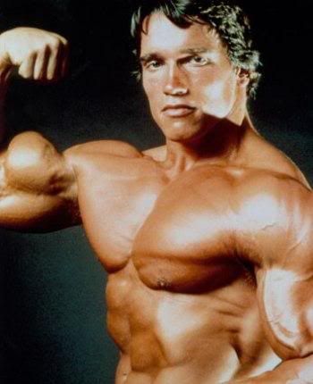 Arnold Schwarzenegger Biceps Biceps Exercises