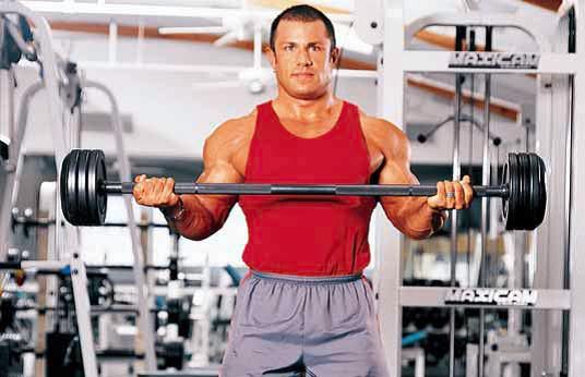Barbell Curl Basic Exercises