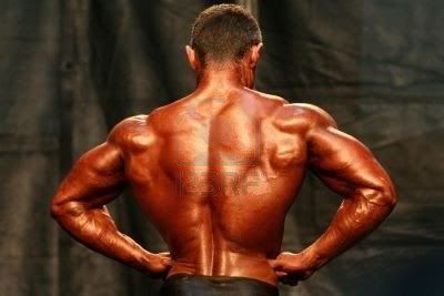 Bodybuilder Back Back Training