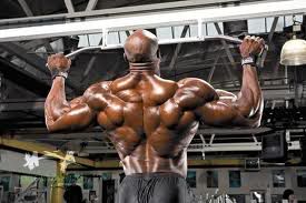 Wide-Grip Chins Basic Exercises