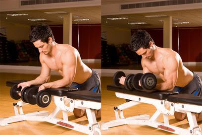 Wrist Curl Basic Exercises
