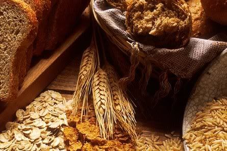 Cereals and Grains Nutrition