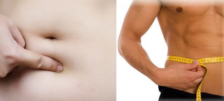 Fat Loss Fat Loss