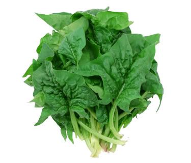Spinach Female Diet