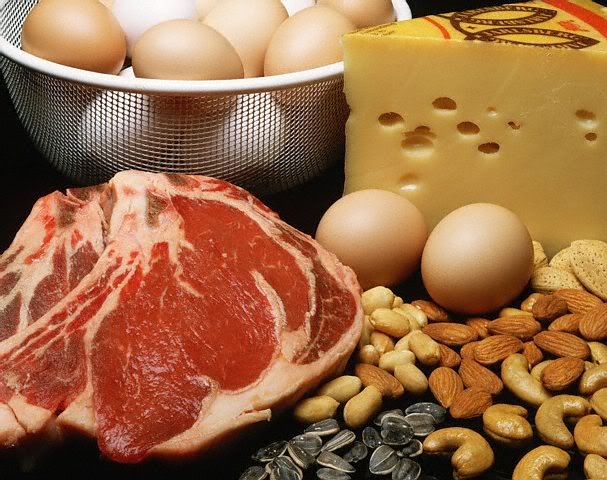 High Protein Food Nutrition