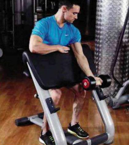 Eccentric Contractions Muscle Contractions