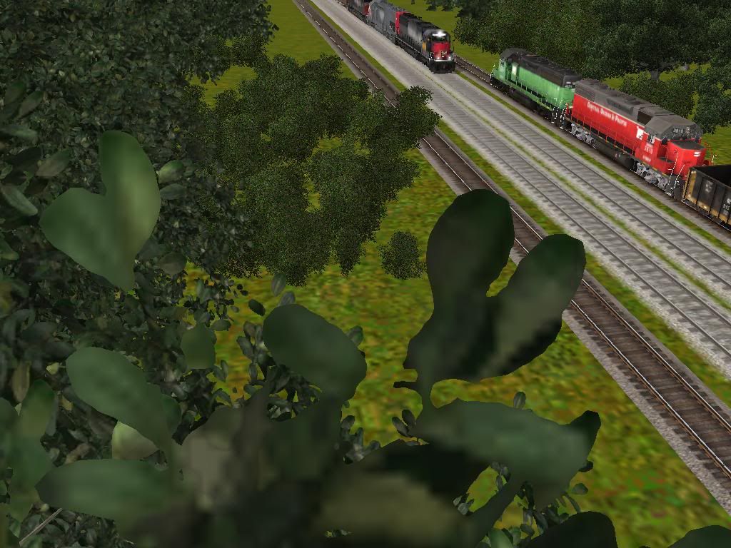 Meetfromthetree.jpg