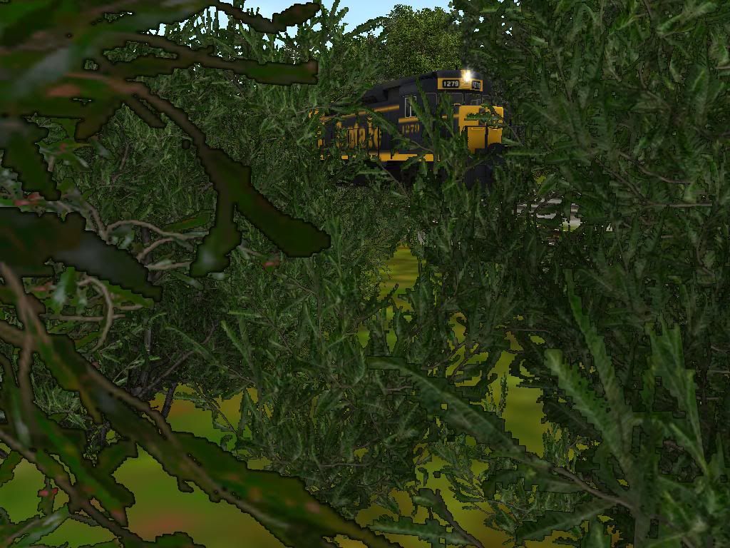 bushshot.jpg