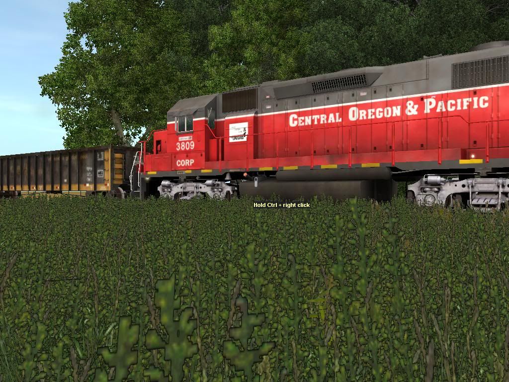 localstyle2.jpg