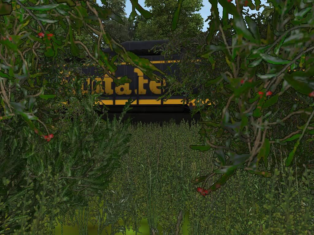 naturelisticshot2.jpg