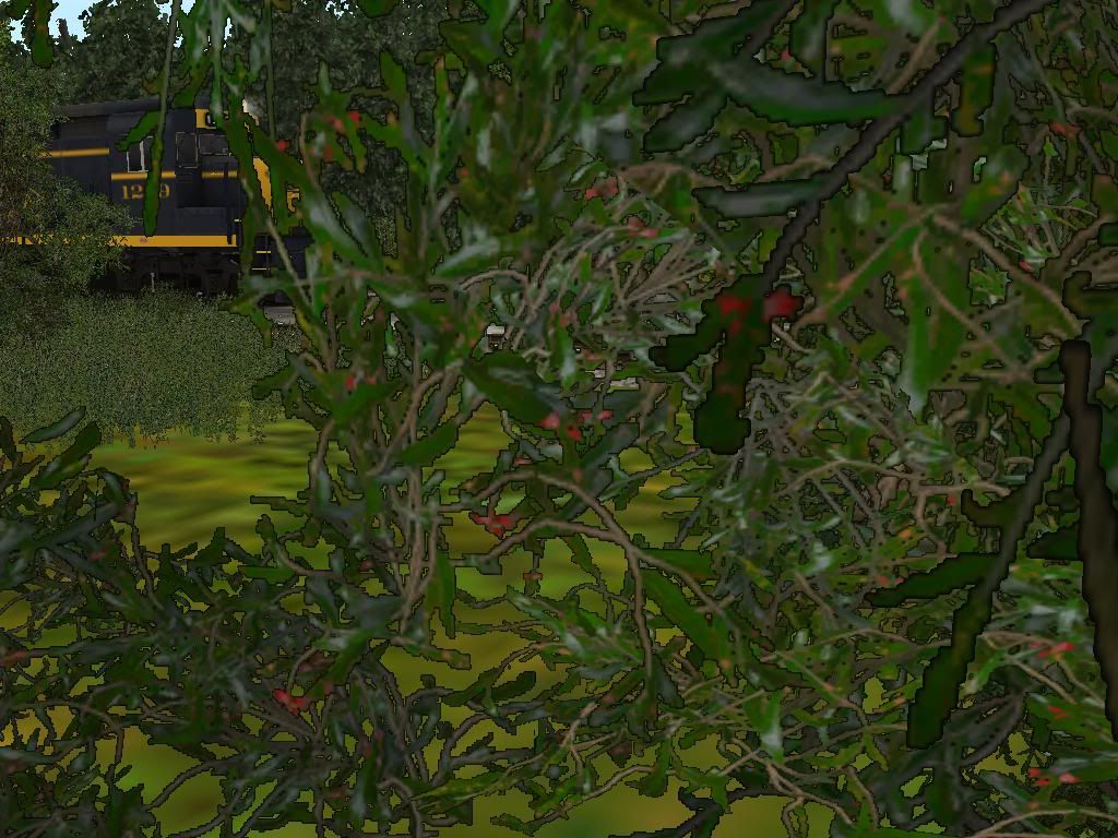 natureshot.jpg