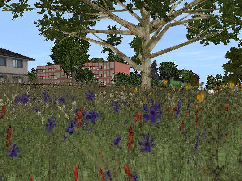 trainz2012-10-0700-53-02-181.jpg