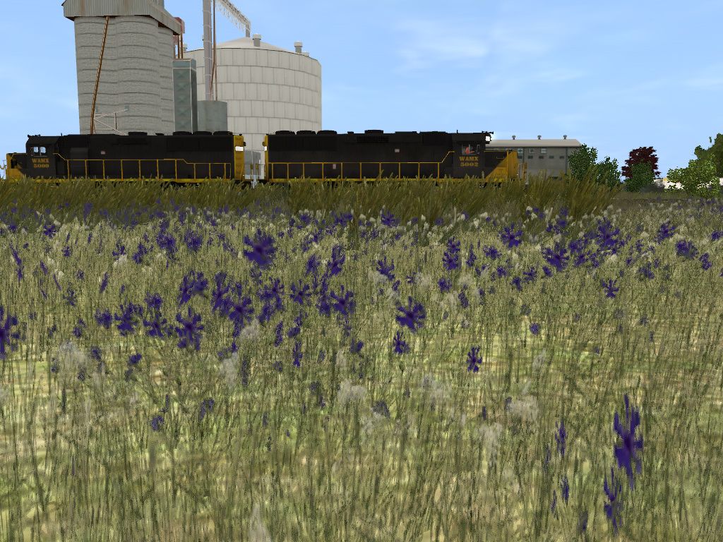 trainz2012-10-1600-03-32-537.jpg